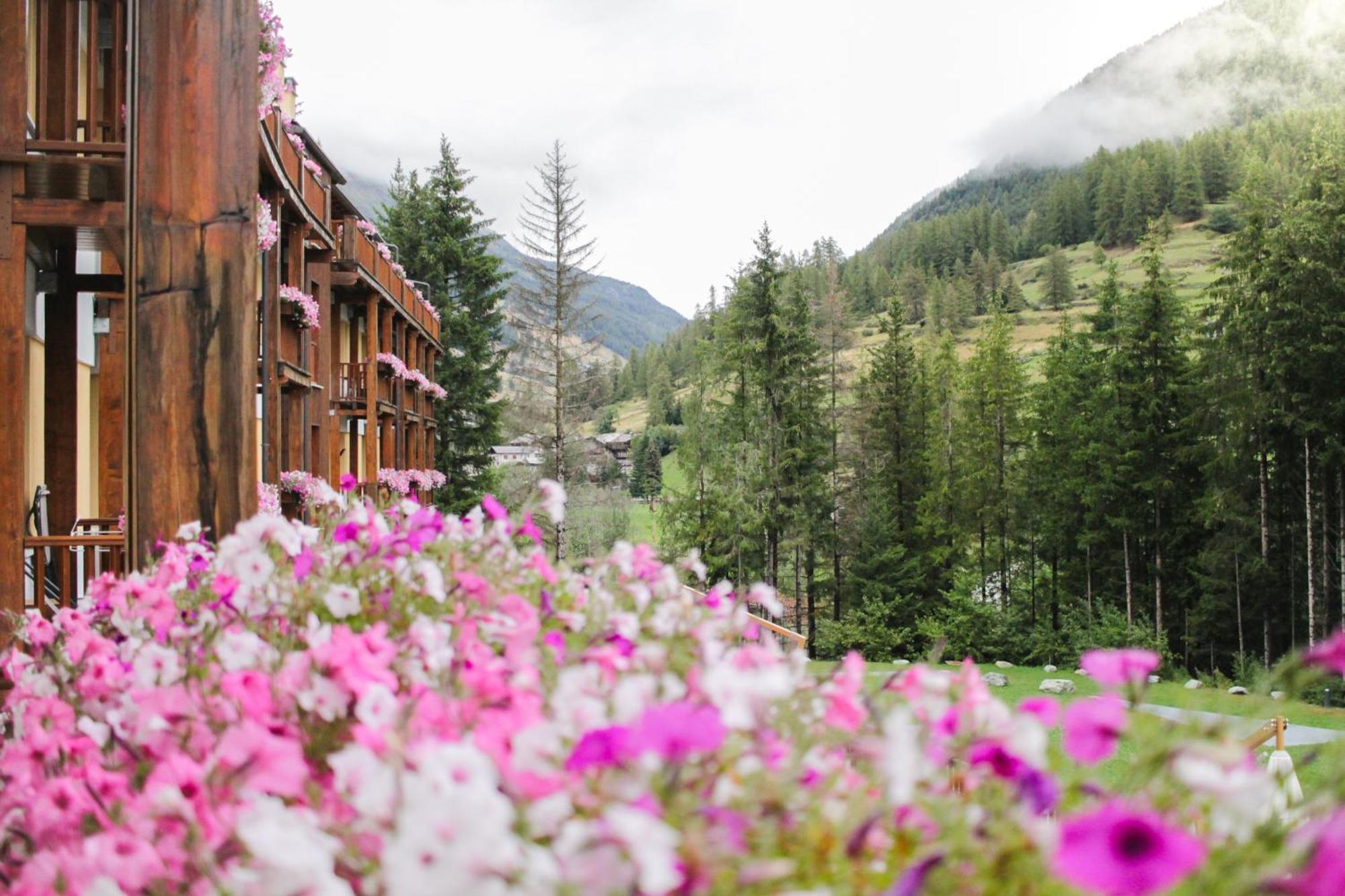 Maison Poluc Hotel Apartments Champoluc Bagian luar foto